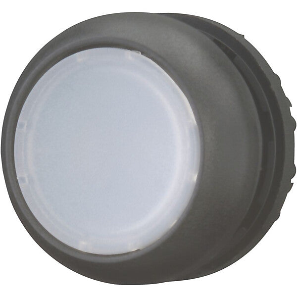 Eaton Leuchtdrucktaste flach,weiss,blanko M22S-DL-W
